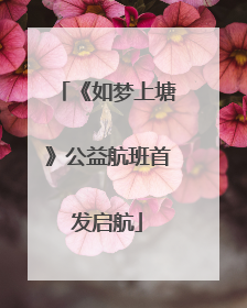 《如梦上塘》公益航班首发启航