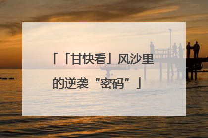 「甘快看」风沙里的逆袭“密码”