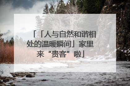 「人与自然和谐相处的温暖瞬间」家里来“贵客”啦