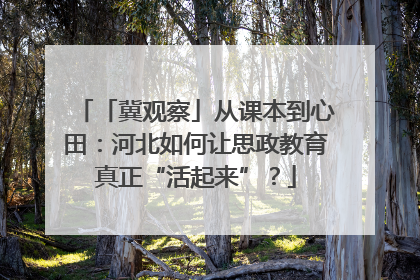 「冀观察」从课本到心田：河北如何让思政教育真正“活起来”？