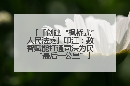 「创建“枫桥式”人民法庭」印江：数智赋能打通司法为民“最后一公里”