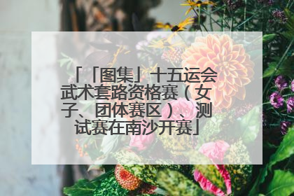 「图集」十五运会武术套路资格赛（女子、团体赛区）、测试赛在南沙开赛