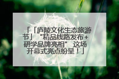 「庐陵文化生态旅游节」“精品线路发布+研学品牌亮相” 这场开幕式亮点纷呈！