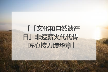 「文化和自然遗产日」非遗薪火代代传 匠心接力续华章