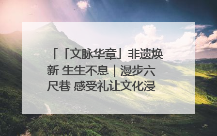 「文脉华章」非遗焕新 生生不息｜漫步六尺巷 感受礼让文化浸润的“巷”往生活