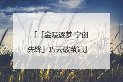 「金陵逐梦·宁创先锋」巧云破茧记