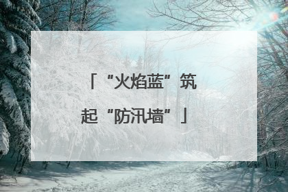 “火焰蓝”筑起“防汛墙”