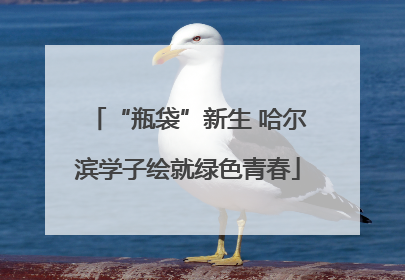 “瓶袋”新生 哈尔滨学子绘就绿色青春