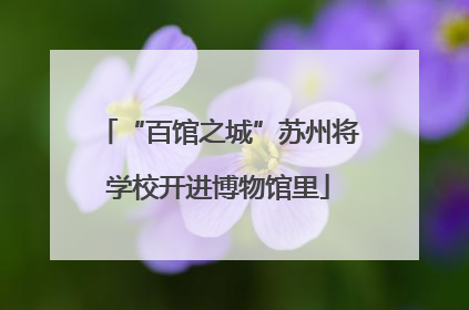 “百馆之城”苏州将学校开进博物馆里
