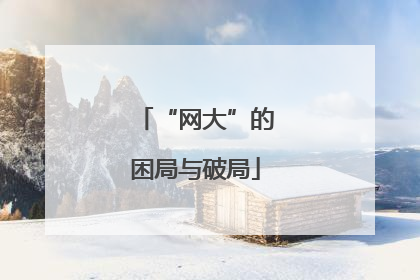 “网大”的困局与破局