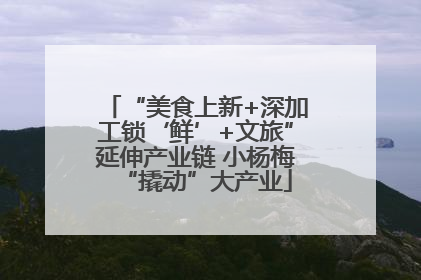 “美食上新+深加工锁‘鲜’+文旅”延伸产业链 小杨梅“撬动”大产业