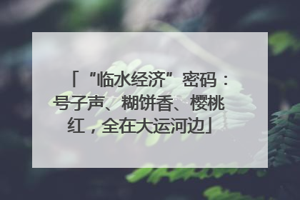 “临水经济”密码：号子声、糊饼香、樱桃红，全在大运河边