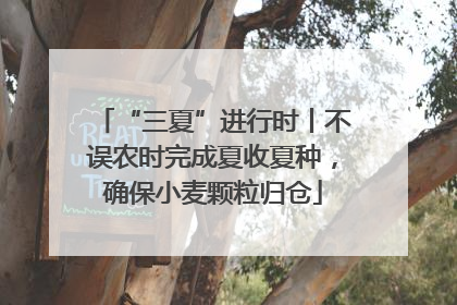 “三夏”进行时丨不误农时完成夏收夏种，确保小麦颗粒归仓