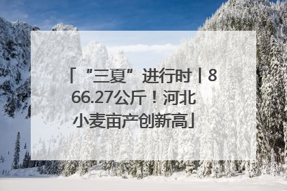 “三夏”进行时丨866.27公斤！河北小麦亩产创新高