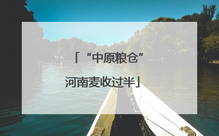 “中原粮仓”河南麦收过半