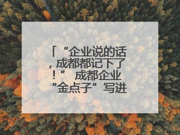 “企业说的话，成都都记下了！” 成都企业“金点子”写进数字文创政策