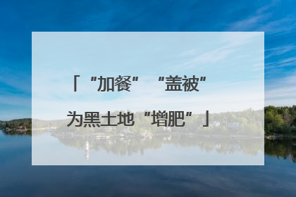 “加餐”“盖被” 为黑土地“增肥”