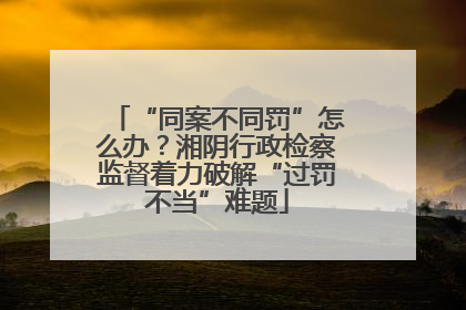 “同案不同罚”怎么办？湘阴行政检察监督着力破解“过罚不当”难题