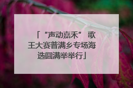 “声动嘉禾” 歌王大赛普满乡专场海选圆满举举行