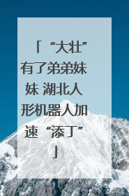 “大壮”有了弟弟妹妹 湖北人形机器人加速“添丁”