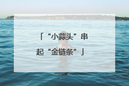 “小蒜头”串起“金链条”
