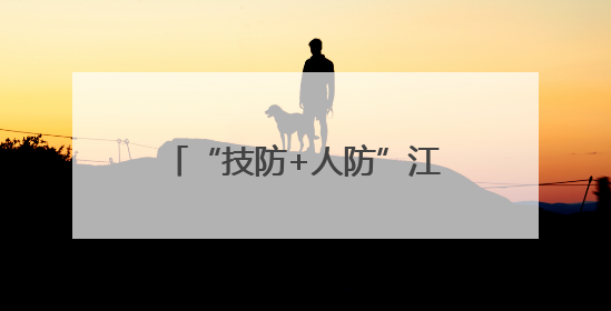 “技防+人防”江西抚州拧紧水库汛期安全“防御弦”
