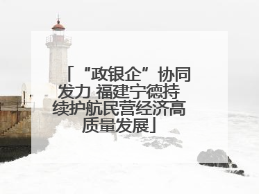 “政银企”协同发力 福建宁德持续护航民营经济高质量发展