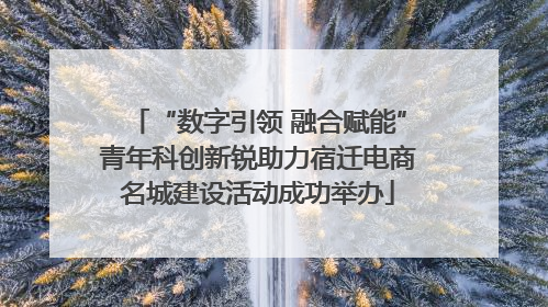 “数字引领 融合赋能”青年科创新锐助力宿迁电商名城建设活动成功举办