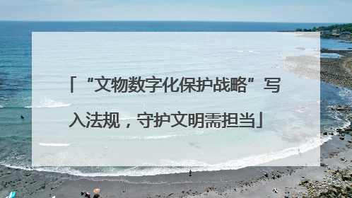 “文物数字化保护战略”写入法规，守护文明需担当