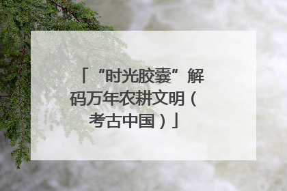 “时光胶囊”解码万年农耕文明（考古中国）