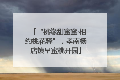 “桃缘甜蜜蜜·相约桃花驿”，孝南杨店镇早蜜桃开园