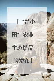 “楚小田”农业生态链品牌发布