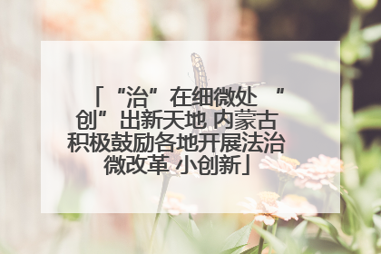 “治”在细微处 “创”出新天地 内蒙古积极鼓励各地开展法治微改革 小创新