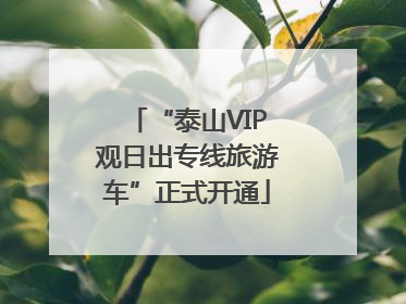 “泰山VIP观日出专线旅游车”正式开通