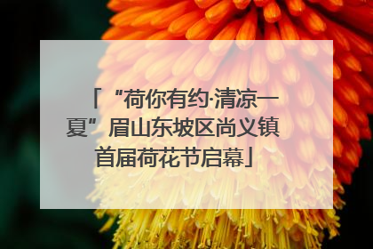 “荷你有约·清凉一夏”眉山东坡区尚义镇首届荷花节启幕
