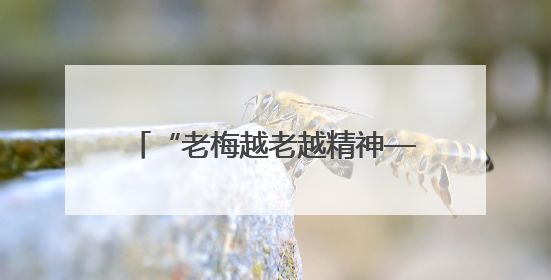 “老梅越老越精神——梅雪峰、梅纯一艺术研究展”研讨会在安徽省美术馆召开