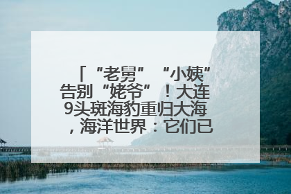“老舅”“小姨”告别“姥爷”！大连9头斑海豹重归大海，海洋世界：它们已具备野外生存能力