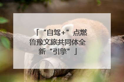 “自驾+”点燃鲁豫文旅共同体全新“引擎”