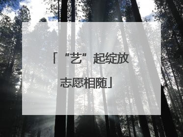 “艺”起绽放 志愿相随