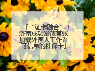 “证卡融合”！济南成功发放首张加载外国人工作许可信息的社保卡