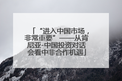 “进入中国市场，非常重要”——从肯尼亚-中国投资对话会看中非合作机遇