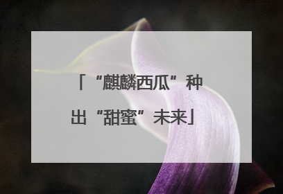 “麒麟西瓜”种出“甜蜜”未来
