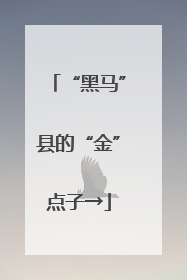“黑马”县的“金”点子→
