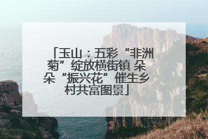 玉山：五彩“非洲菊”绽放横街镇 朵朵“振兴花”催生乡村共富图景