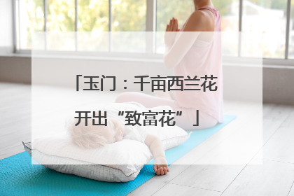 玉门：千亩西兰花开出“致富花”