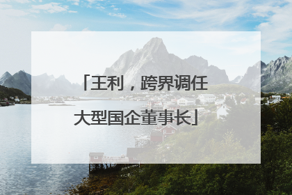 王利，跨界调任大型国企董事长
