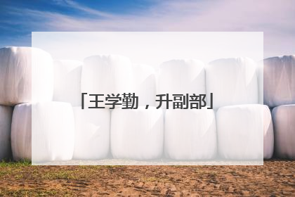 王学勤，升副部