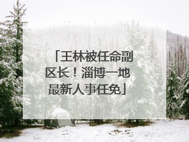 王林被任命副区长！淄博一地最新人事任免