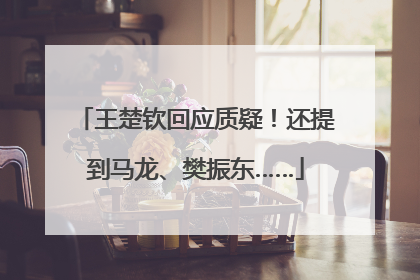王楚钦回应质疑！还提到马龙、樊振东……