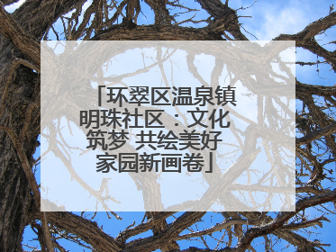 环翠区温泉镇明珠社区：文化筑梦 共绘美好家园新画卷